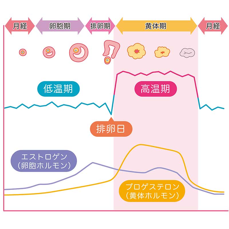 太る 生理 前