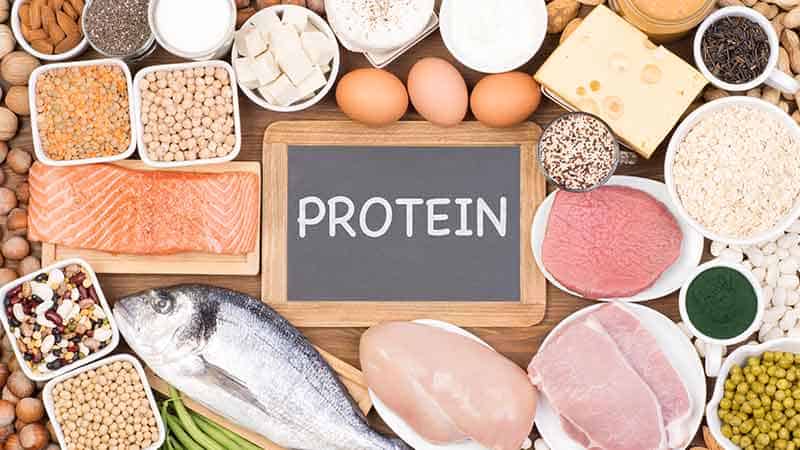 なぜダイエットではタンパク質を摂るといいの 食べすぎ防止委員会